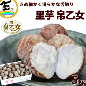  Ƃ V ܐs 剳 (ʂƂ) 5kg (L܂2LTCY)