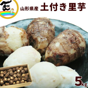  Ƃ R` JA yt 5kg Gi M܂LTCY