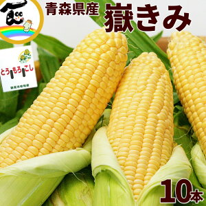 yZ[zƂ낱  XY Ԃ () 10{ 3.5kg (G MLTCY)