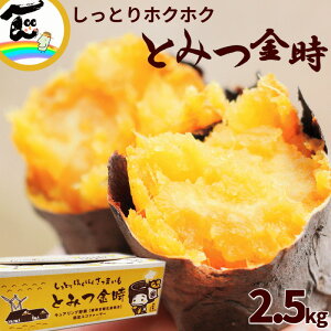 ܂ 䌧sxÒnY ܂ Ƃ݂ 2.5kg  3kg(2L`S)
