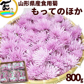 食用菊 山形県産 食用菊 もってのほか 800g (80g×10パック)