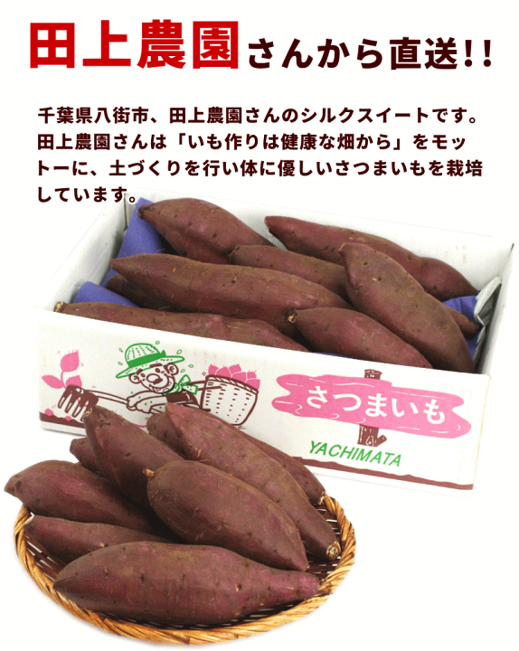 新作人気モデル さつまいも様 専用 santaritasericita.com.br