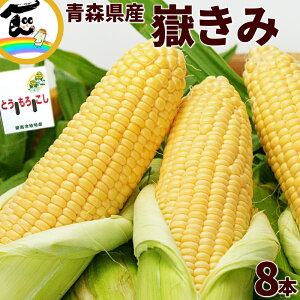 yZ[zƂ낱  XY Ԃ () 8{ 2.8kg (G MLTCY)