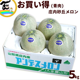 山形県産 庄内砂丘メロン 青肉 5kg（4〜5玉）お買い得 大容量 ご家庭用 産地直送 甘くてジューシーなメロン 果肉しっかり