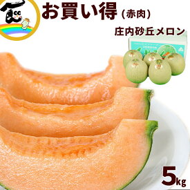 山形県産 庄内砂丘メロン 赤肉 5kg（4〜5玉）お買い得 とろける甘さ 濃厚な果肉 ご家庭用 産地直送 夏限定フルーツ