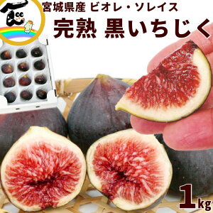    rI\GX 10-16 1kg Gi 󏭃t[c