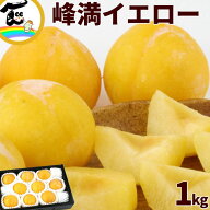 すもも プラム 峰満イエロー 山形県産 秀品 1kg 9～11玉 黄プラム 高糖度 旬 完熟 産地直送