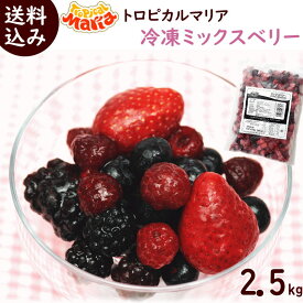 冷凍フルーツ 業務用 冷凍ミックスベリー 送料無料 【 冷凍ミックスベリー 2.5kg （500g×5袋)】 トロピカルマリア 冷凍 ミックスベリー ジュース スムージー アサイーボール ヨナナス