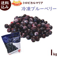 冷凍フルーツ 業務用 冷凍ブルーベリー 送料込み 冷凍ブルーベリー1kg（500g×2袋） 冷凍 ブルーベリー …