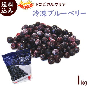 冷凍フルーツ 業務用 冷凍ブルーベリー 送料込み 冷凍ブルーベリー1kg(500g×2袋) 冷凍 ブルーベリー トロピカルマリア スムージー ジュース