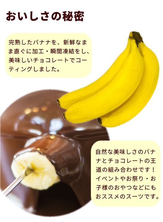 楽天市場】チョコバナナ アイス 10本 (5本×2箱) トロピカルマリア