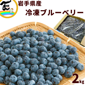 ブルーベリー 冷凍 送料無料 岩手県産 家庭用 冷凍ブルーベリー 2kg 加工用 訳あり 国産 スムージー ジュース ヨナナス