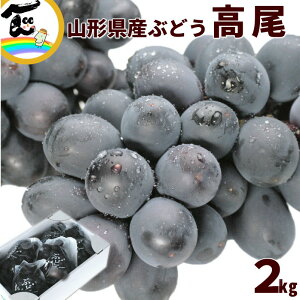 Ԃǂ R`Y Ԃǂ 2kgi3`5[jȂE嗱 Ԃǂ pɂlCIYn 