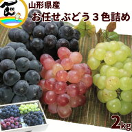 【SE】ぶどう 山形県産 3色詰め合わせ 2kg 秀品 3〜5房 おまかせ フルーツギフト 旬のぶどう 産地直送 品…