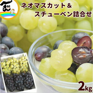 Ԃǂ R` X`[xlI}XJbgl 2kg Gi e3`5[