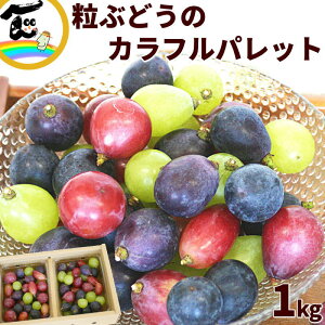 Ԃǂ R` gcʎ JtԂǂpbg 1kg iFC 嗱Ԃǂ3F4ȏ i500g×2Pj