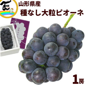 Ԃǂ R`Y 嗱sI[l Ȃ 1[ 600g Gi Ԃǂ Yn t[c pɂ