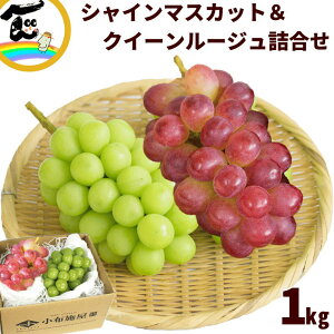 Ԃǂ Hה 쌧Y Ȃ 炲 嗱 Ԃǂ VC}XJbgNC[[Wl 1kg (GiEe1[)