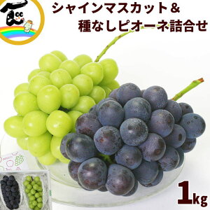 Ԃǂ R`Y 嗱Ԃǂl VC}XJbgsI[l e1[iv1kgj Ȃ Gi Mtgp