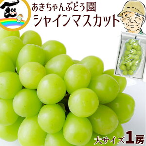 Ԃǂ R` Ȃ Ԃǂ VC}XJbg Gi 600g×1[