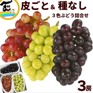 Ԃǂ R`Y 炲ƐHׂ ȂԂǂ3Fl 1.8kg@GiEVC}XJbgE}XJbgm[EgAe600g
