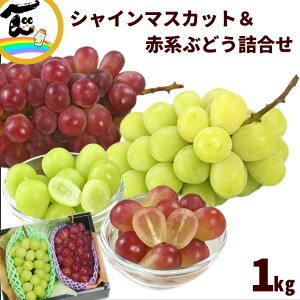【セール中】ぶどう 山形県産 2種2色ぶどう詰合せ 赤ぶどう(クイニ−ナ、マイハ−ト、コトピ−他):秀品・500g×1房 白ぶどう(シャインマスカット):秀品・500g×1房 贈答 ギフト