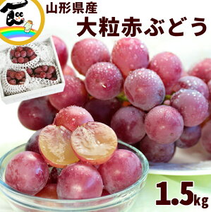 Ԃǂ R`Y 嗱ԂԂǂ Gi 1.5kg (3[)  Mtg