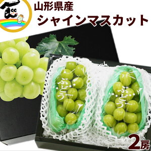 ぶどう送料無料 山形県産 シャインマスカット 秀品 2房 ギフト用 1.1kg