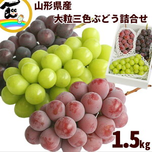 Ԃǂ R`Y 嗱OFԂǂl ԂԂǂi}Cn[gANCj[ijEԂǂisI[lAjEԂǂ(VC}XJbg)AeGiA500gȏ@iws