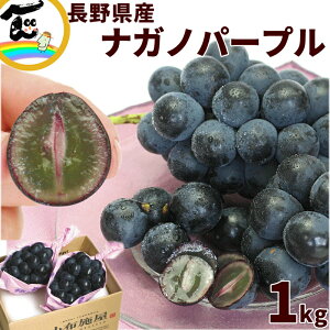 Ԃǂ 쌧 z{ iKmp[v 2[ (1kgO)