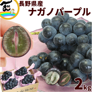 Ԃǂ 쌧 z{ iKmp[v 3`4[ (2kgO)