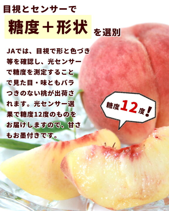 楽天市場】もも 白桃 ご家庭用 光センサー もも ミスピーチ 秀品 1.6kg 