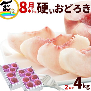 yzd ǂ낫 R` ǂ낫 2kg (5`8)×2 v4kg Gi d momo ǂ낫 ł  d  i  d pp R`Y  R`  ʕ Mtg