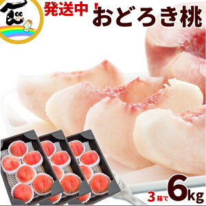 ǂ낫 R` ǂ낫 2kg (5`8)×3 v6kg Gi  i  d pp R`Y  R`  ʕ Mtg