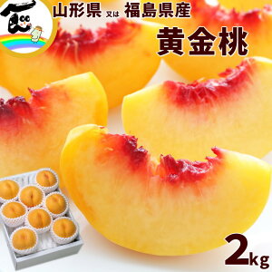 yZ[zt[c   R`܂͕Y  Gi 2kg(5`8)  Mtg 蕨 v[g 