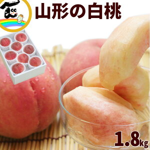 yZ[zt[c   R`Y  Gi 1.8kg (5`8)  Mtg 蕨 v[g 
