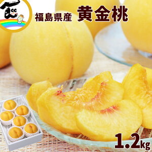 yZ[zt[c   Y  Gi 1.2kg(4`6)  Mtg 蕨 v[g 