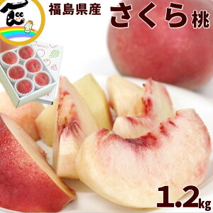   Y 瓍 Gi 1.2kgi4`6ʁj ΂낤