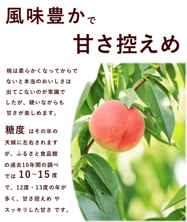 1296円 Sale 64 Off 種まきうさぎ 硬い 桃 おどろき 2kg 6 7個
