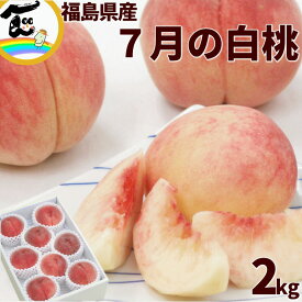 福島県産 7月の白桃 2kg (8～10玉) 秀品 白桃 お中元 果物 ギフト