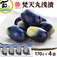 内藤醸造 梵天丸浅漬 170g×4袋 山形 老舗 人気 漬物 ご飯のお供 まとめ買い 浅漬け 茄子漬け