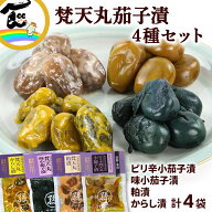内藤醸造 梵天丸茄子漬け 4種セット ピリ辛小茄子 味小茄子 粕漬 からし漬 山形 老舗 漬物 詰め合わせ ご…