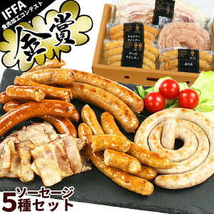 ܎ Y \[Z[W x[R lߍ킹 MtgZbg 5 Y؎gp X[NnEXt@C Ε  j ̓ ̓ p