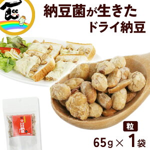 y1000~|bL z[ [ [() X^hpbN 65g×1 Y哤100gp t[YhC[ YȂ N܂݁EсE[ET_ gbsO