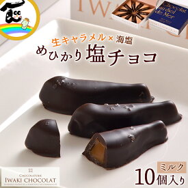 チョコ チョコレート めひかり塩チョコ 10個入 福島 いわきチョコレート