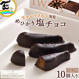 チョコ チョコレート めひかり塩チョコビター 10個入 福島 いわきチョコレート