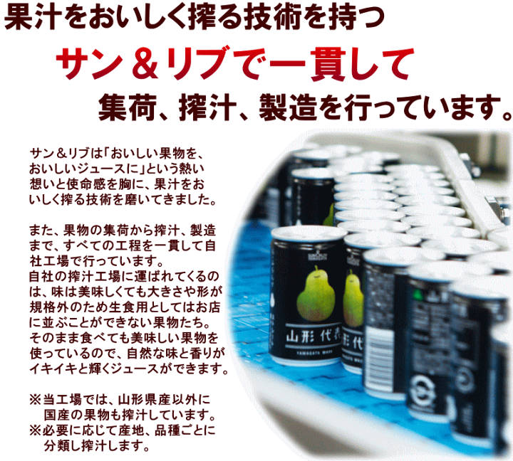 kao様限定⭐期間限定価格⭐山形県産　果汁100%　ストレートりんごジュース ジュース 山形代表 りんご 100%ストレートジュース 160g×20缶