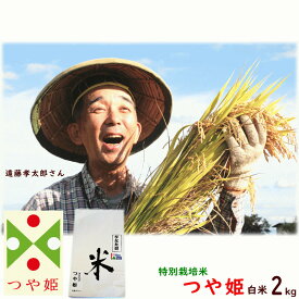 【令和7年度産】米 山形県産 つや姫 白米 2kg 特別栽培米（農薬5割減 化学肥料5割減） 遠藤孝太郎 米 こめ 送料込み お試し