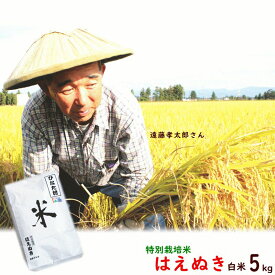 【令和7年度産】米 山形県産 はえぬき 白米 5kg 特別栽培米（農薬5割減 化学肥料5割減） 遠藤孝太郎 米 こめ 送料込み お試し