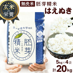 yߘa6NxYz  萸 BG ͂ʂ 5kg×4 v20kg   ۑ ~H ~i hАH AEghA N h{ _CGbg e 
